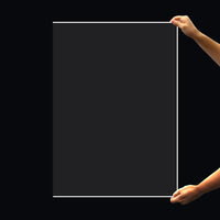 プラス カードケース ハード B2 PC-212C 1枚