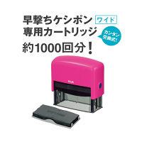 プラス 早撃ちケシポンワイド ピンク 個人情報保護スタンプ IS-250CM