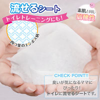 水99.9％ おしりふき 流せるタイプ 1パック（60枚入×3個×16パック） レック