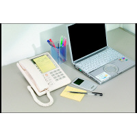 ニチバン ポイントメモ（TM） 再生紙ビジネスパックエル 1パック（12冊入）