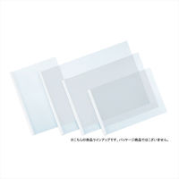 コクヨ　レールクリヤーホルダー(厚とじ・PET)　A4タテ　約40枚収容　白　レール式クリアホルダー　フ-WTP760WX5　5冊：5冊パック×1袋