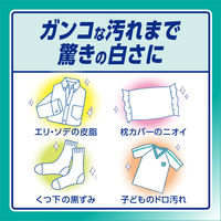 アタック 高活性バイオパワー 詰替750g 1箱（8個）粉末衣料用洗剤 花王