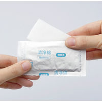 オオサキメディカル 清浄綿 72726 1箱（2枚入×100包）  オリジナル