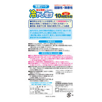 紀陽除虫菊 冷やし増す16P大人用ミント K-2120 1箱(16枚入)