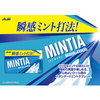ミンティア ワイルド＆クール　1箱（10個入）　アサヒグループ食品