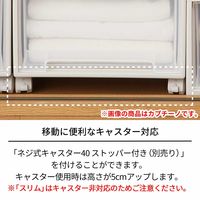 【引き出し収納】 天馬 フィッツケース（ロング） 4904746302281 カプチーノ ベージュ 1個