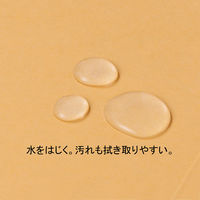 フラットファイル　PPラミネート　A4ヨコ　10冊　イエロー　アスクル  オリジナル