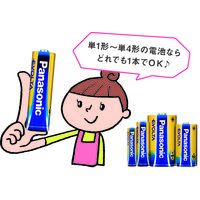 Panasonic（パナソニック） 電池がどれでもライト（ホワイト色） BF-BM10-W ホワイト