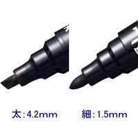 アスクル　油性ペン　油性ツインマーカー　太/細　黒　10本  オリジナル