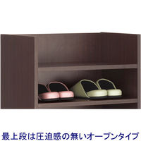アスクル おもてなしスタイル シューズラック 2列 ダークブラウン 1台(2梱包)  6段 靴箱 幅560×奥行350×高さ1100mm オリジナル