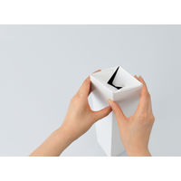 「現場のチカラ」 カレンダーケース 大（B2・A2・B3・A3対応） 1セット（150枚：50枚入×3梱包） スーパーバッグ  オリジナル