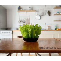 ミクニ　ミスティガーデン 2nd 交換フィルター（G)　U60E-05