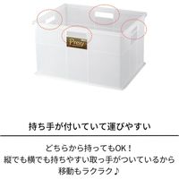 収納ケース プレクシー LL クリア 天馬