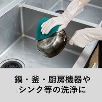 スコッチ・ブライト ナイロンたわし 緑 焦げ・錆落とし No. 96 10枚 96 BST スリーエム ジャパン