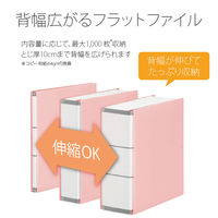 プラス 背幅伸縮PPセノバス FL-021SP PK 1冊