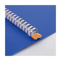 リヒトラブ　クリヤーブックルポ30P　A4S　青　N4613-8　(取寄品)（直送品）