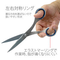 プラス ステンレスハサミ NO.165 ブルー BL 1個（直送品）