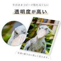 セキセイ　クリアポケット　A6（148×105mm）　AZ-540　1箱（300枚：30枚入×10袋）