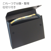 プラス　PPドキュメントファイル　A4　13ポケット　1箱（10冊入）　FL-122DE　92126