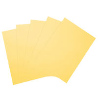 大王製紙　ダイオーマルチカラープリンタ用紙　86427　A3　1箱（1500枚入）　クリーム色