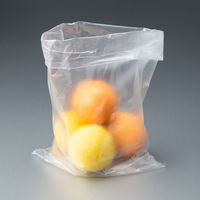 ポリ袋（規格袋）ひもなし HDPE・半透明タイプ 0.009mm厚 15号 300×450mm 1セット（2000枚：200枚入×10袋）