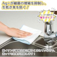 激落ちくん ふきん マイクロファイバー 厚手タイプ イヤな臭いを防ぐ Ag＋ 抗菌 防臭 2枚入 1袋 レック