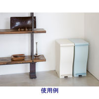 岩谷マテリアル　kcud（クード）　スリムペダル#30/Aベージュ　KUD30 ABE