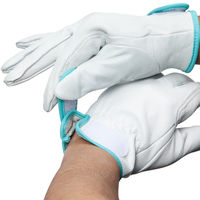 「現場のチカラ」　革手袋ブタレンジャーアテ付き　M　1セット（10双）　オリジナル　ミタニコーポレーション　 オリジナル