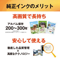 エプソン (EPSON) ICMB24A 純正インクカートリッジ マットブラック 1個