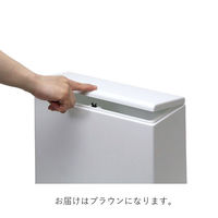 ideaco TUBELOR kitchenflap（チューブラーキッチンフラップ）8.5L ブラウン 1個 フタ付き プッシュ式 スリム