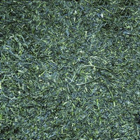 大井川茶園　生産者限定鹿児島茶　知覧町大隣岳茶生産者組合　003792　1袋（180ｇ）