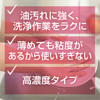 スーパーサラセン（C-4） 業務用4kg 1箱（4本入）