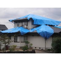 萩原工業 スーパー土のう 約48×62cm 耐候性約1年 SP-10P-30BOX 1セット(300枚:10枚×30袋)