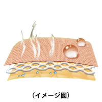 スリーエム マルチポアTMスポーツ伸縮固定テープ レギュラータイプ 75mm×5m 2743-75 1箱（4巻入）