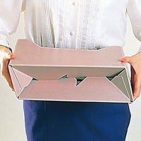 コクヨ　ファイルボックス-FS　＜Dタイプ＞　A4ヨコ　背幅102mm　ピンク　A4-LFD-P　1セット（5冊）