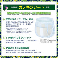 【アウトレット】再値下げ エルモアいちばん 大人用紙おむつ お茶の力パンツ Ｌ～ＬＬ 1パック(18枚入)