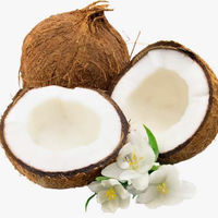 アライドコーポレーション チャオコー ココナッツミルク 400ml 1缶 缶詰