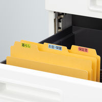 コクヨ カットフォルダー1/3カットフォルダー B6-3F-2N 1袋(20冊入)