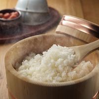 【特別栽培米】 佐渡産コシヒカリ 5kg 1袋 精白米 令和7年産 諸長 米 お米 こしひかり 新潟県