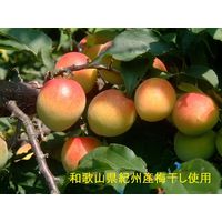 玉露園  梅こんぶ茶スタンドパック　お徳用　1袋（85g）