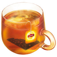 リプトン アップル ティーバッグ 1箱（15バッグ入）