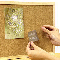 プラス　虫ピン　50g入　CP-915　１セット（３個入)　（直送品）