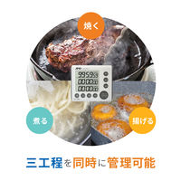 エー・アンド・デイ デジタルタイマー 100時間タイマー　AD5701A 1台