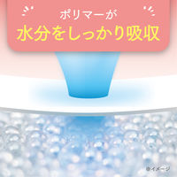 吸水ナプキン 安心の少量用 40cc 22枚 羽なし 23cm ポイズ さらさら 吸水ライナー 無香料 1パック（22枚）尿漏れ