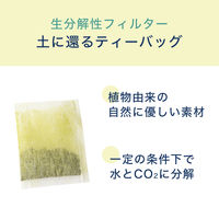 【水出し可】伊藤園 ワンポット 抹茶入り緑茶 エコティーバッグ 1袋（50バッグ入） お茶 大容量