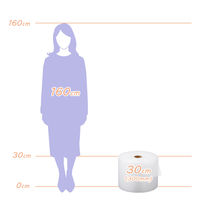 プチプチ（R） エアークッション d37 幅300mm×42m巻 1巻 川上産業