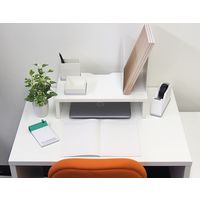 アール・エフ・ヤマカワ 机上PCラック W450 ホワイト RFDR2-450WH 1台