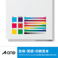 エーワン（A-one）ラベルシール パッケージラベル 光沢フィルム インクジェット シール A4 ホワイト ノーカット 10シート 28797×2袋