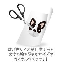 エレコム タトゥシール 透明 はがき 10枚 EJP-TAT10