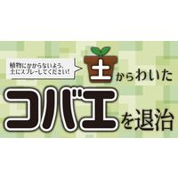 イカリ消毒 ムシクリンコバエ用スプレー 400ml 245031（直送品）